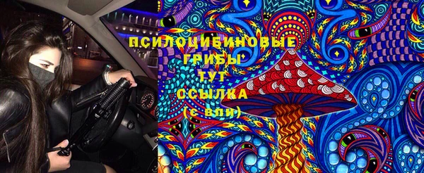 метадон Верея