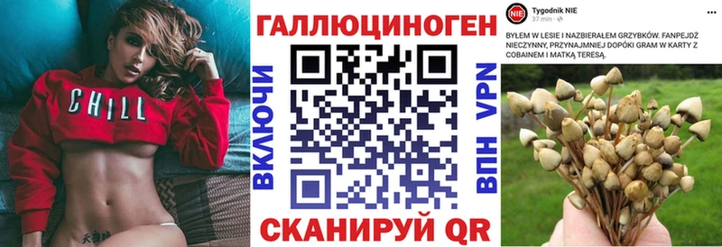 Купить закладки  Пустошка  Галлюциногенные грибы Cubensis 